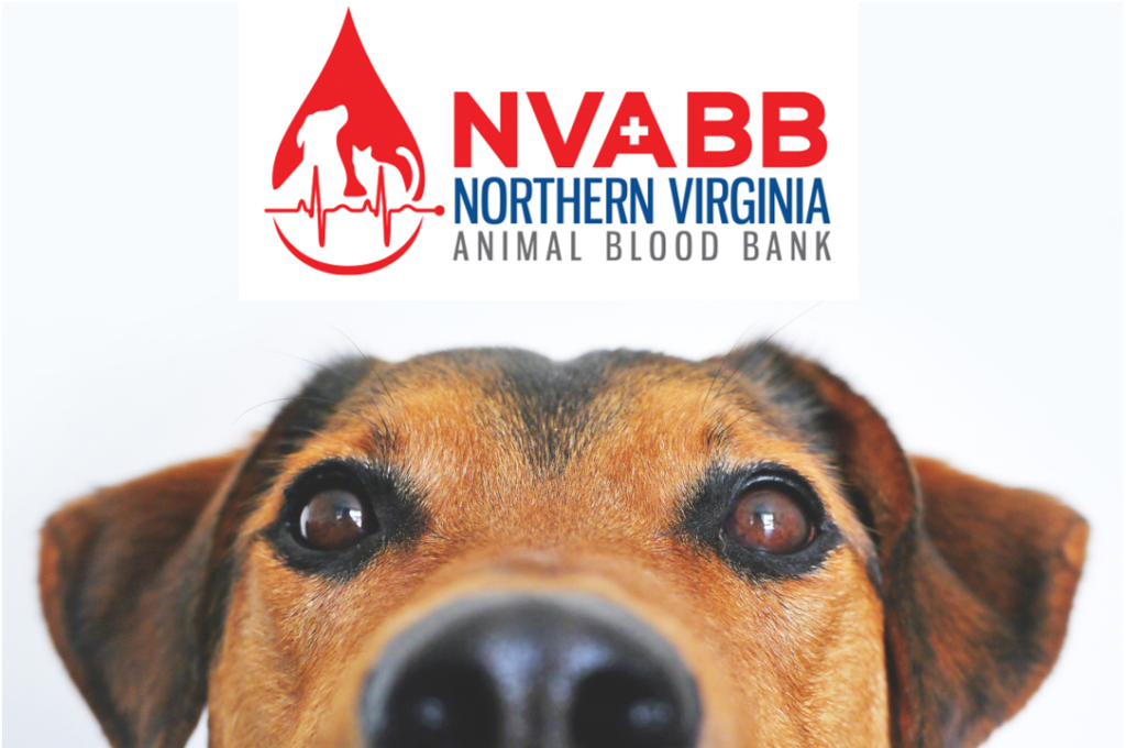 North American Veterinary Blood Bank