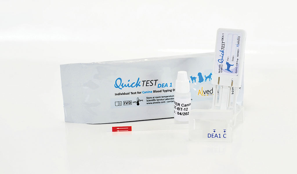 DEA 1.1 Typing Kit