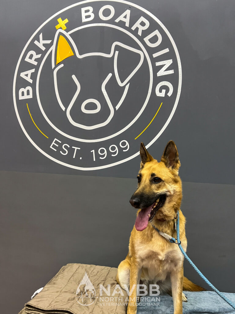 North American Veterinary Blood Bank