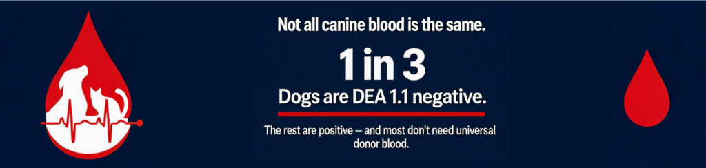 North American Veterinary Blood Bank
