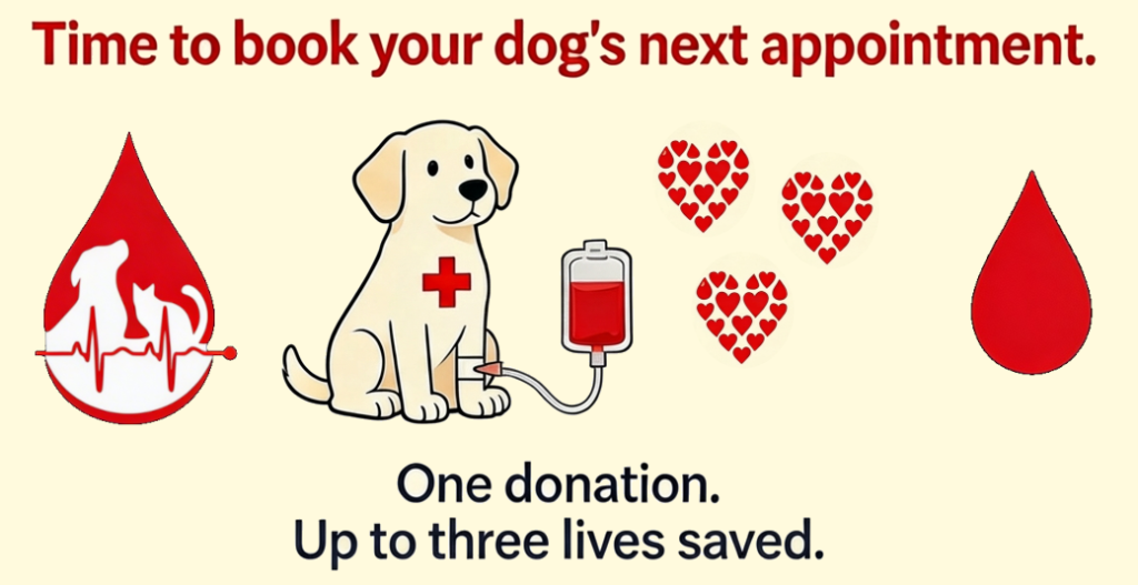 North American Veterinary Blood Bank